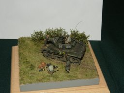 d1 75mm_hmc dsc09260